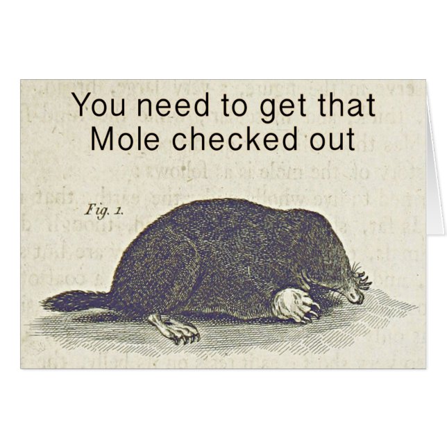 Carte de voeux drôle de taupe, humour animal (Devant horizontal)