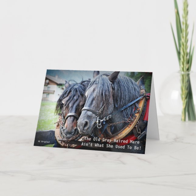 Carte de vœux drôle de vieux cheval (Devant)