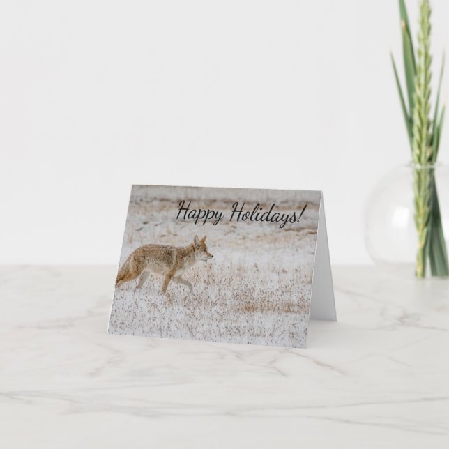Carte de vœux du coyote de Yellowstone (Devant)