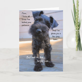 Carte de voeux du jour de mère de Schnauzer