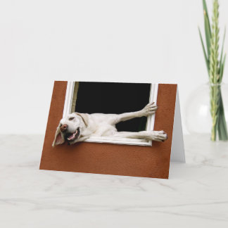 Carte de voeux du Labrador jaune