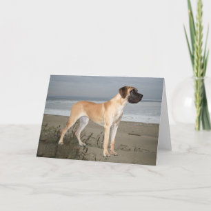 Carte de voeux du roi des chiens Great Dane