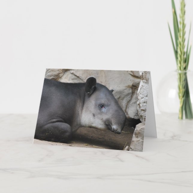 Carte de voeux du tapir de Baird (Devant)