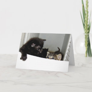 Carte de voeux Échapper aux chatons