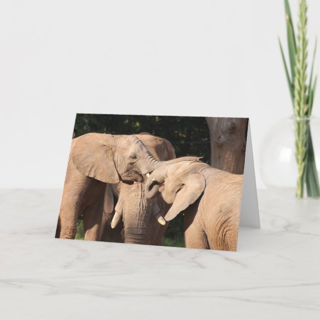 Carte de voeux Elephant Love (Devant)