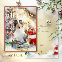 Animaux de compagnie magiques Noël, Blue Merle Col