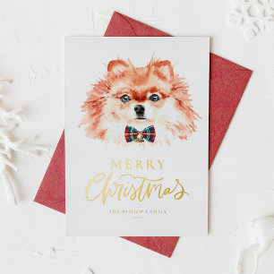 Carte De Vœux En Aluminium Aquarelle festive Chien roumain Joyeux Noël