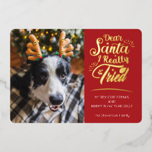 Carte De Vœux En Aluminium Cher Père Noël J'ai essayé chien 3 photos amusant 