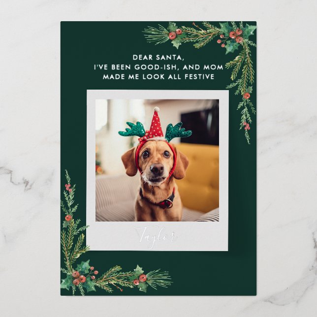 Carte De Vœux En Aluminium Cute Chien Photo Custom Christmas (Recto)