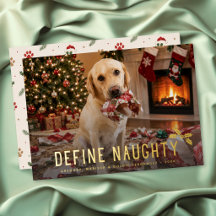 Définir une photo drôle de chien vilain Noël
