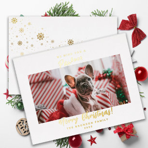 Carte De Vœux En Aluminium Festif Animaux de compagnie Photo Joyeux Noël