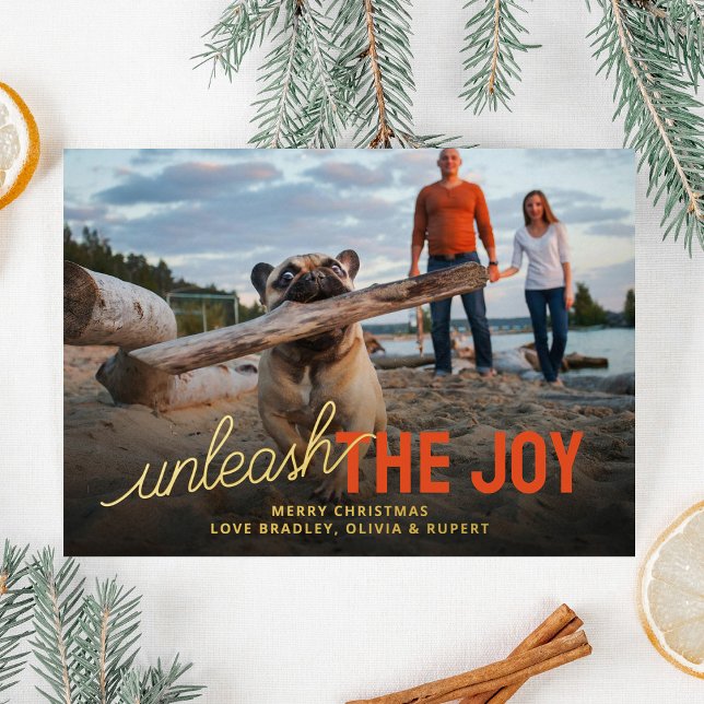 Carte De Vœux En Aluminium Funny Unleash The Joy Pet Christmas (Créateur téléchargé)