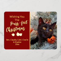 Carte De Vœux En Aluminium Je vous souhaite la Purr-fect Christmas Cat Photo