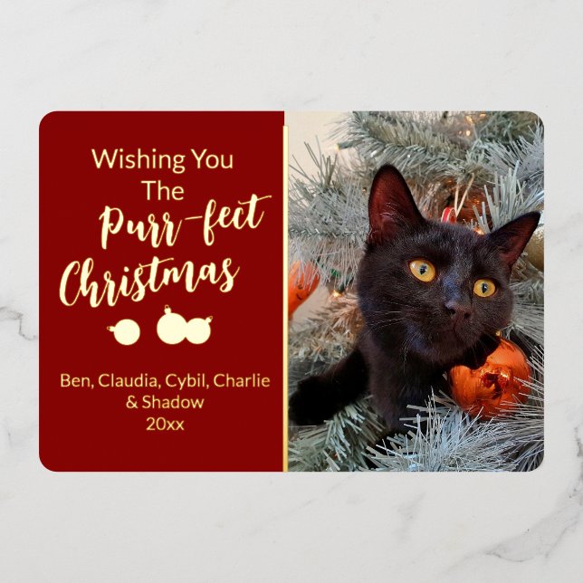 Carte De Vœux En Aluminium Je vous souhaite la Purr-fect Christmas Cat Photo (Recto)