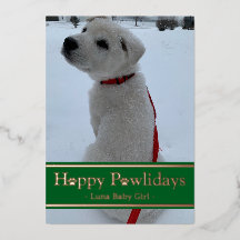 Joyeuses fêtes de Pawlidays