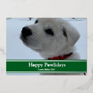 Carte De Vœux En Aluminium Joyeuses Pawlidays