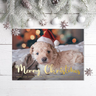 Carte De Vœux En Aluminium Joyeux Noël Pet Photo