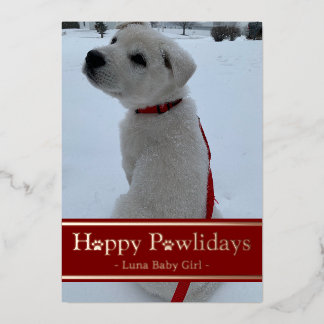 Carte De Vœux En Aluminium Joyeux Pawlidays
