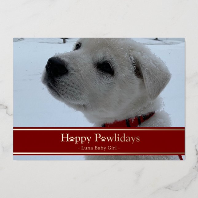 Carte De Vœux En Aluminium Joyeux Pawlidays (Recto)
