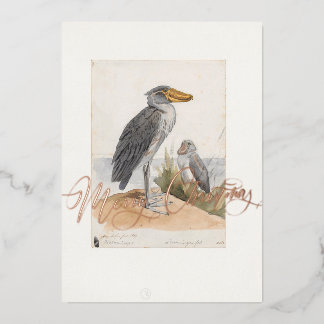 Carte De Vœux En Aluminium Magasin de chaussure 1887 Imprimer Zoologica Merci