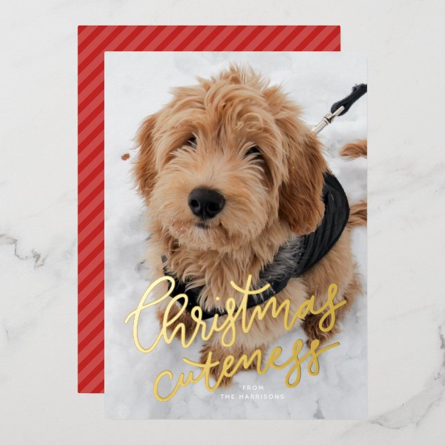 Carte De Vœux En Aluminium Mention de Noël une photo mignonne animal (Recto/Verso)
