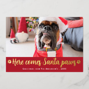 Carte De Vœux En Aluminium Mignonne Voici La Photo Père Noël Paws Chien Photo