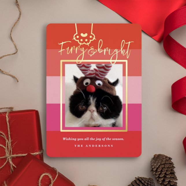 Carte De Vœux En Aluminium Noël Pelucheux & Lumineux Photo de Chien Rouge  (Créateur téléchargé)