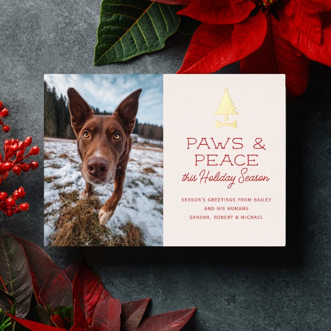 Carte De Vœux En Aluminium Paws Peace Festive Dog Pet Photo Christmas (Créateur téléchargé)