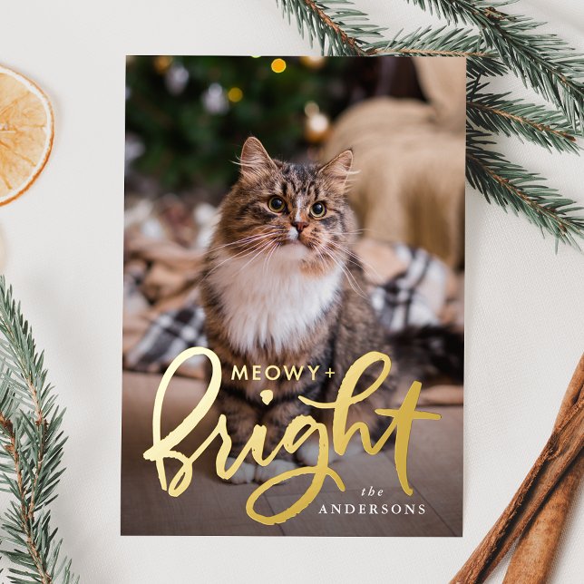 Carte De Vœux En Aluminium Photo de chat Meowy et Bright Script (Créateur téléchargé)