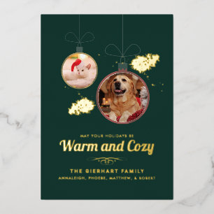 Carte De Vœux En Aluminium Photos pour animaux de compagnie Noël