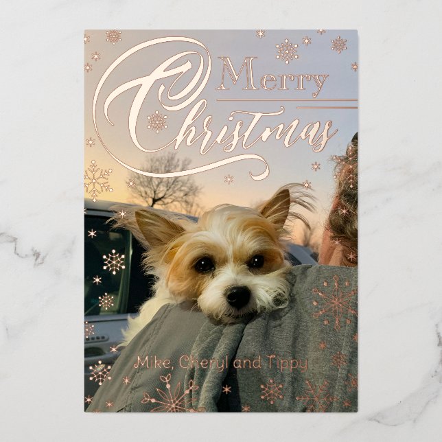 Carte De Vœux En Aluminium Typographie personnalisée de flocon de neige de No (Recto)