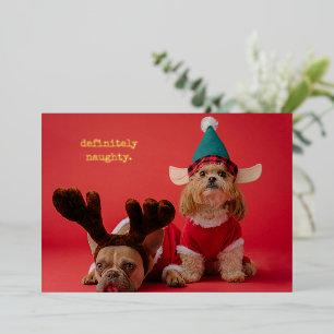 Carte De Vœux En Aluminium Vraiment Naughty Pet Photo Mignonne Noël