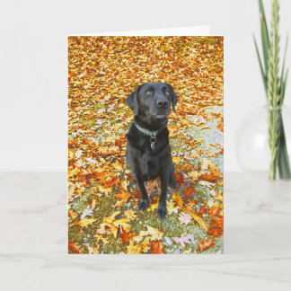 Carte de voeux en baisse pour vous