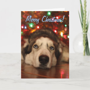 Carte de voeux enrouée de Noël