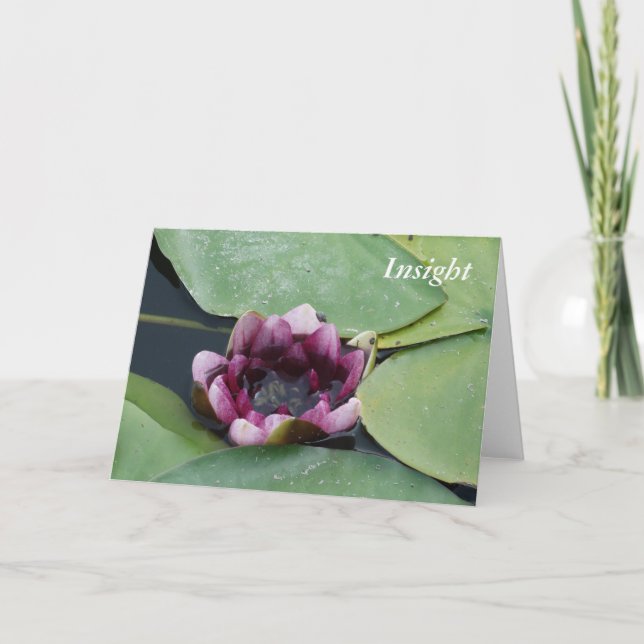 Carte de voeux, enveloppes blanches standard inclu (Devant)