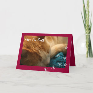 Carte de voeux : Éphésiens de Noël Cat Nap