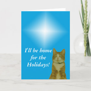 Carte de voeux - Étoile de Noël et chat