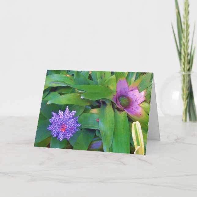 Carte de voeux exotique pourpre d'usine de fleur (Devant)