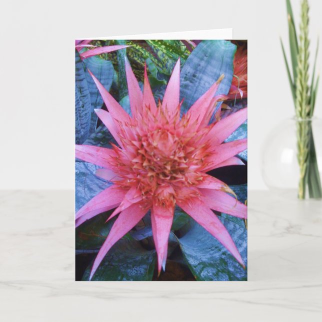 Carte de voeux exotique rose d'usine de fleur (Devant)