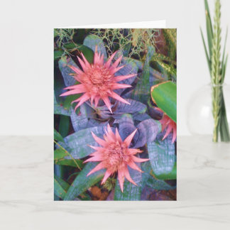 Carte de voeux exotique rose d'usine de fleurs
