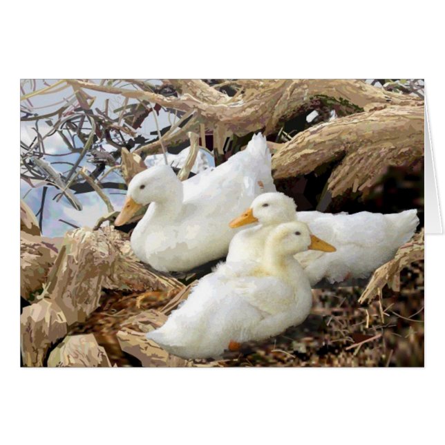 Carte de voeux Fairmount Park Duck Family (Devant horizontal)