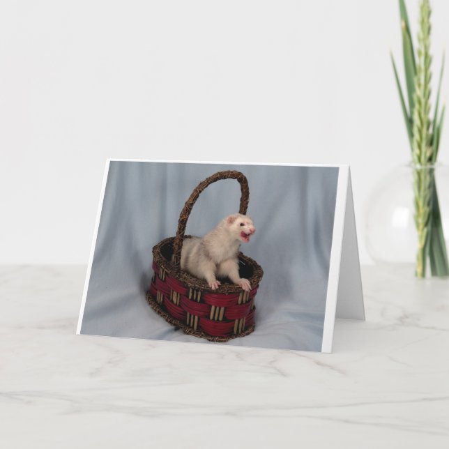 Carte de voeux Ferret (Devant)