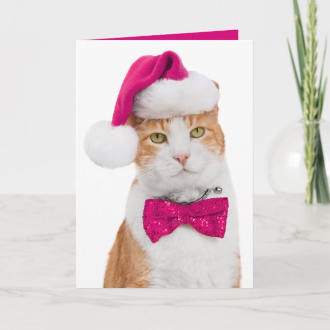 Carte de vœux festive - Chat branché (Devant)