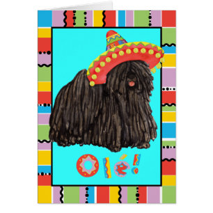 Carte de voeux Fiesta Puli