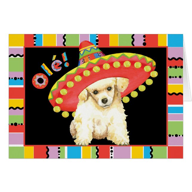 Carte de voeux Fiesta Toy Poodle (Devant horizontal)