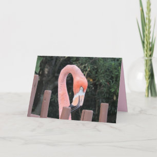 Carte de voeux Flamant rose