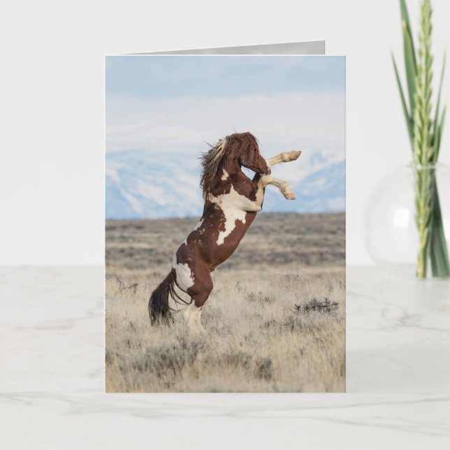 Carte de voeux Flash Rears Wild Horse (Devant)