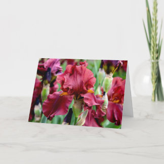 Carte de vœux fleur d'iris de Bourgogne (intérieur