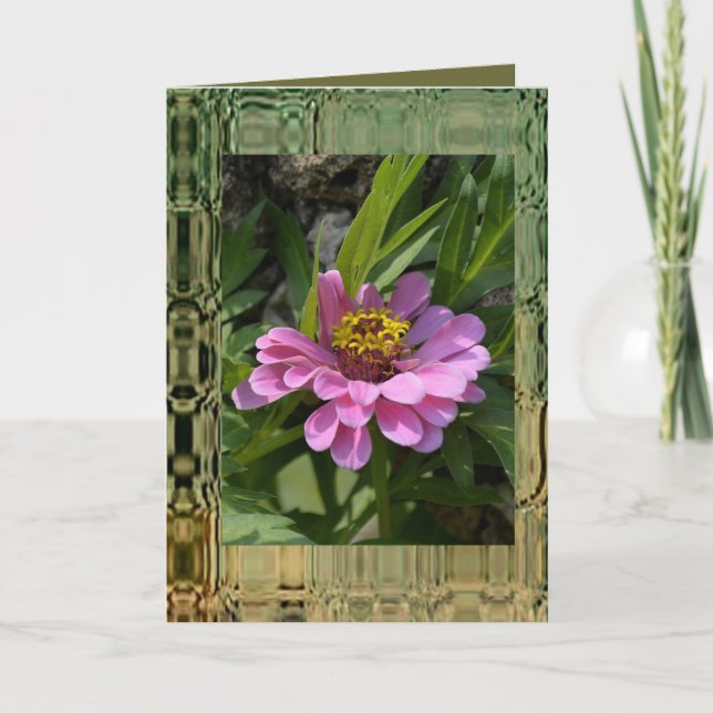 Carte de voeux Fleur du jardin - Vide (Devant)