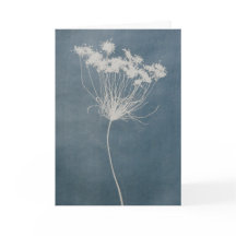 Carte de vœux Fleur Vierge à l'intérieur